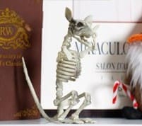 Creepy Rat Skeleton Halloween Decoration