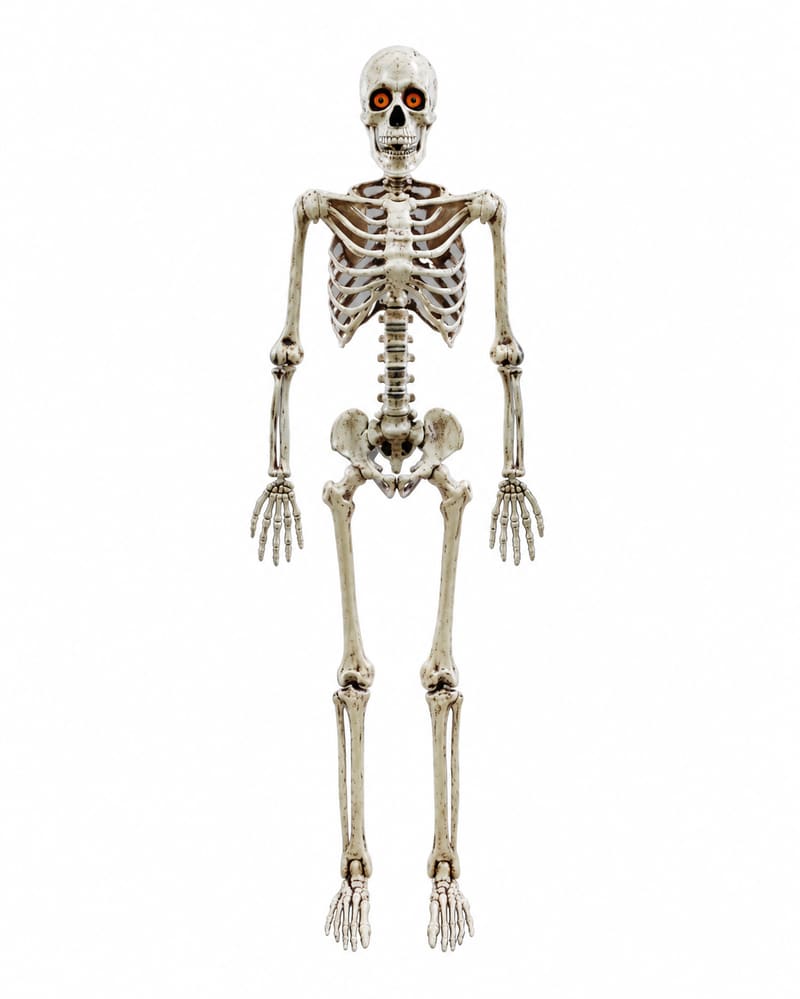 Poseable ivory-coloured Halloween skeleton with illuminated eyes on a white background