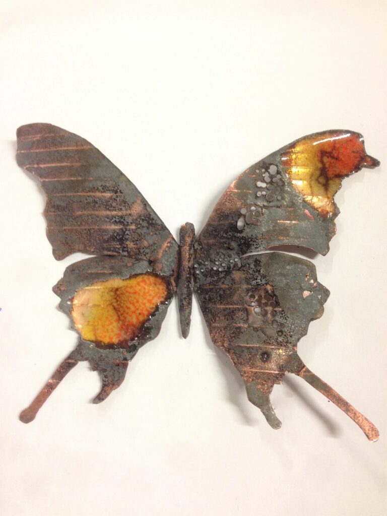 BUTTERFLIES & BEETLES – Leanne McCormack