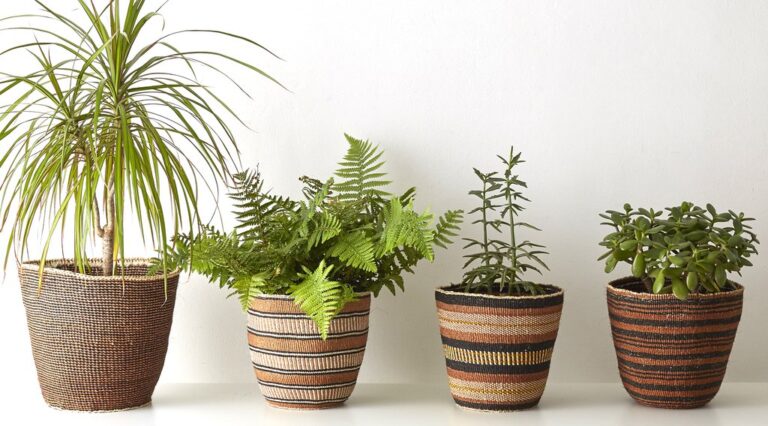 Woven geometric planter baskets