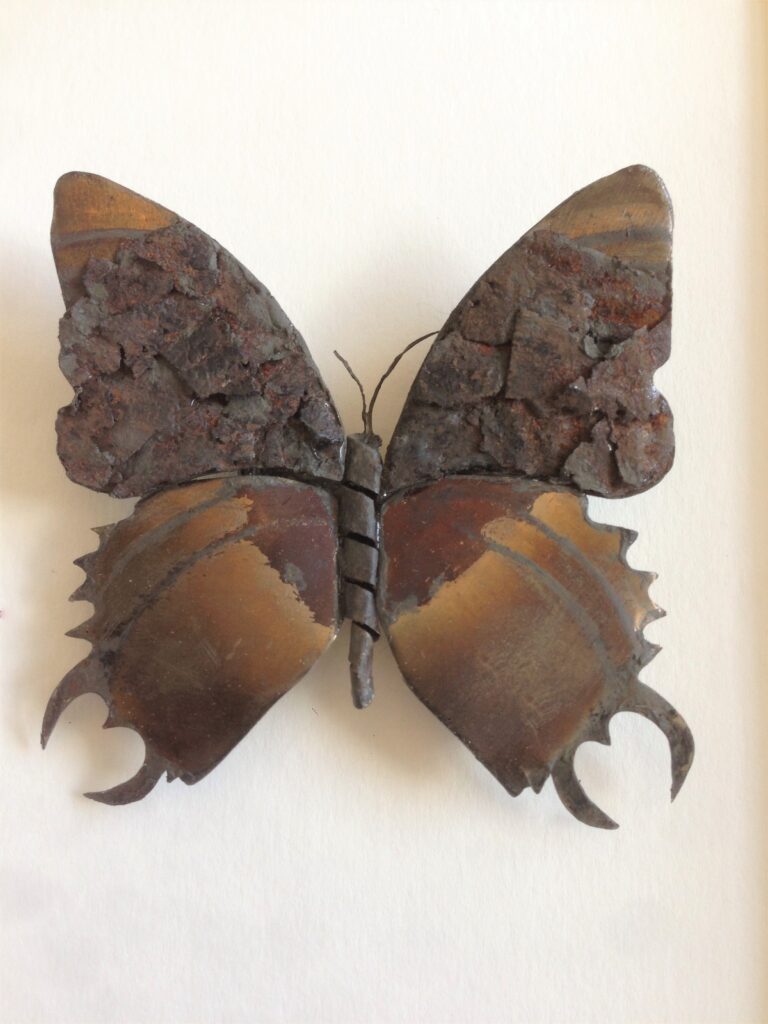 Renewed Butterflies - tin series (LMCM04)