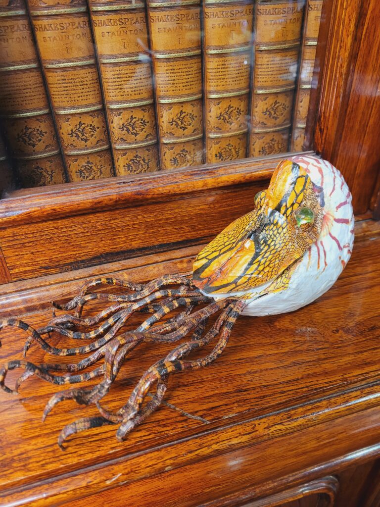 Papier-mâché Nautilus Model