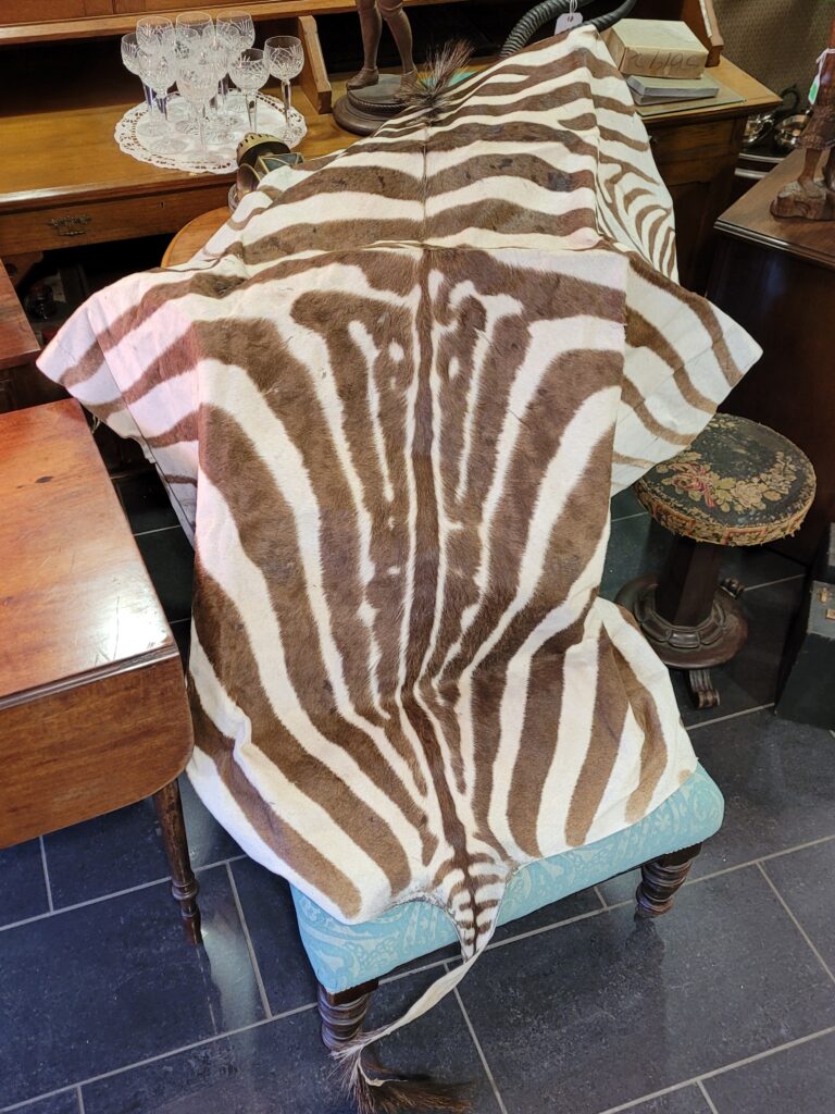Full Zebra Pelt