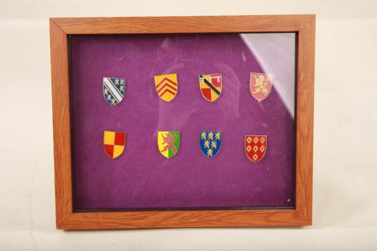 Set of eight enamelled King's pin badges