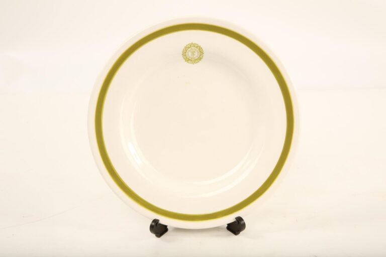 mid 20th century Arklow Ironstone pottery plate