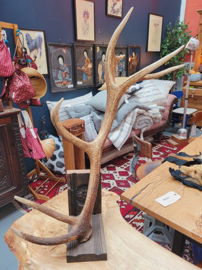 TD175 Antler Hat Stand