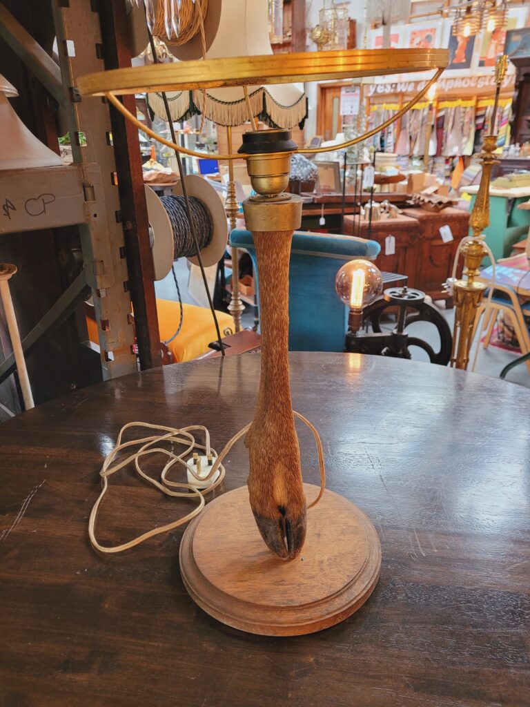 Deer Hoof Lamp