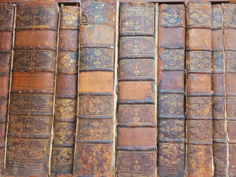 1786 Statutes at Large passed in the Parliaments held in Ireland