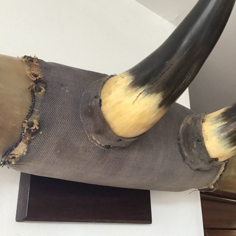 4-Horn Coat/Hat Hanger