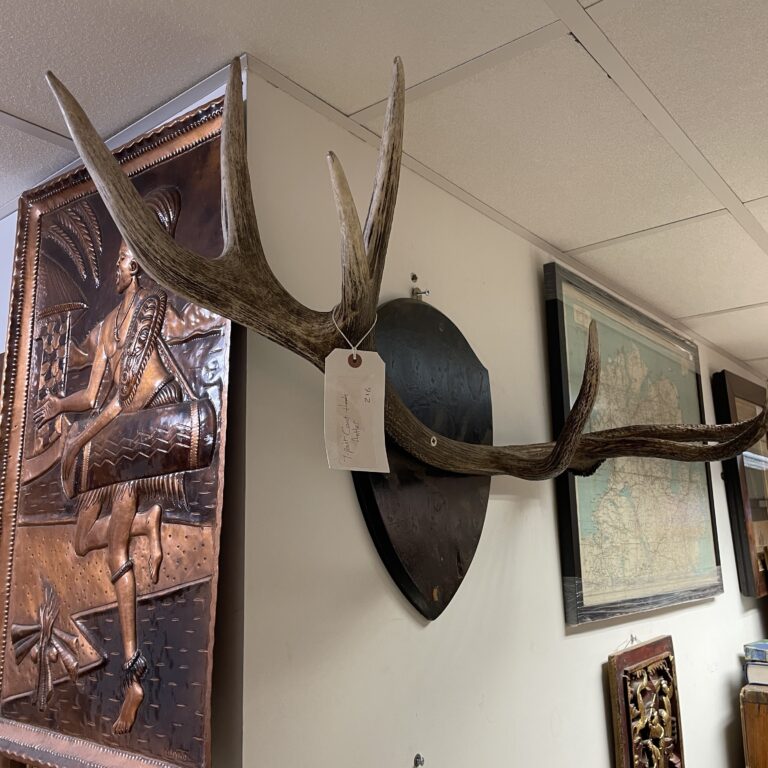 7-point Antler Coat Hook