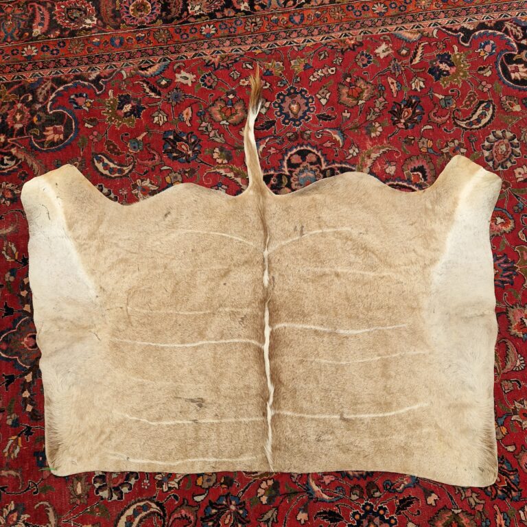 African Kudu Half Hide