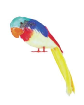 Parrot Tweets (30cm)