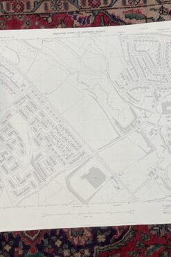 Vintage Ordnance Survey Map of Monkstown