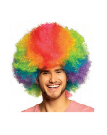 Clown Rainbow Deluxe Wig