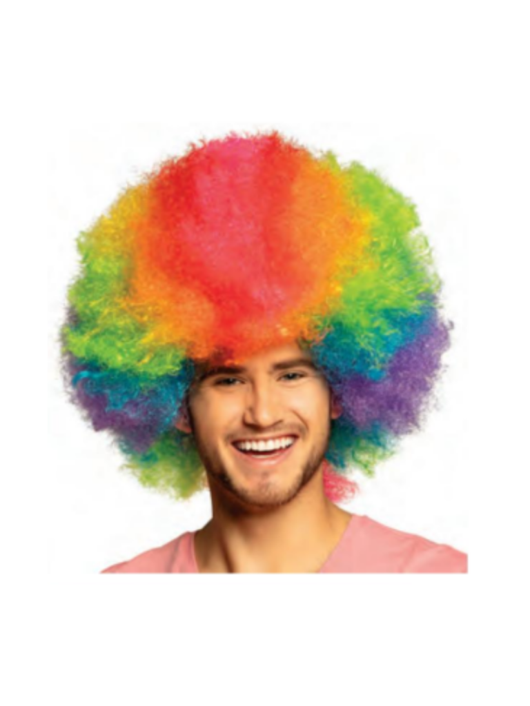 Clown Rainbow Deluxe Wig