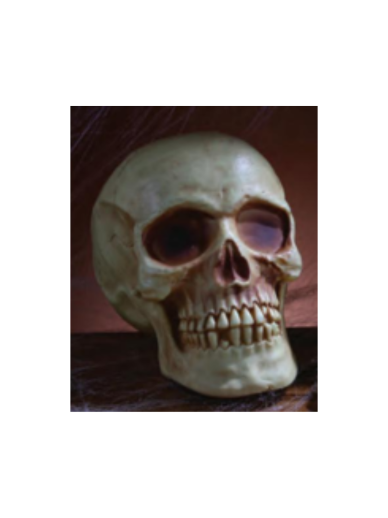 7" Moulded Skull