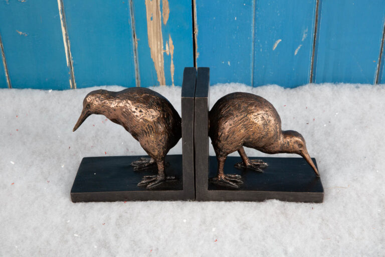 Set of Kiwi Bird Bookends