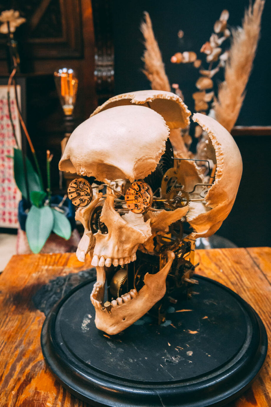 Steampunk Human Skull