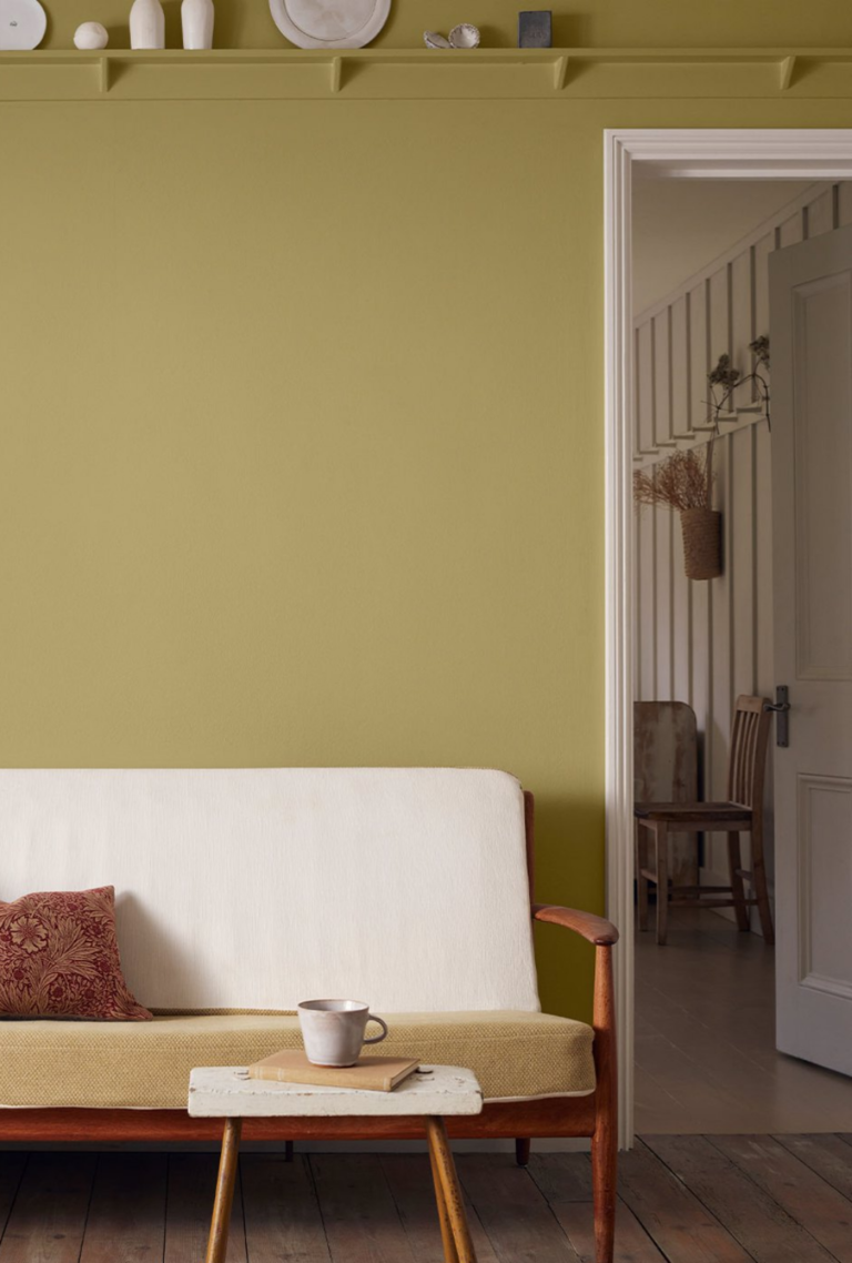 Citrus Stone Morris & Co Paint