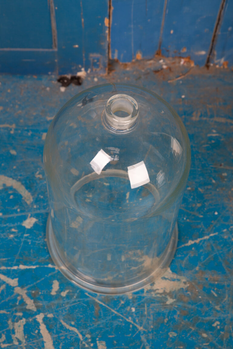 Glass Cloche/Dome