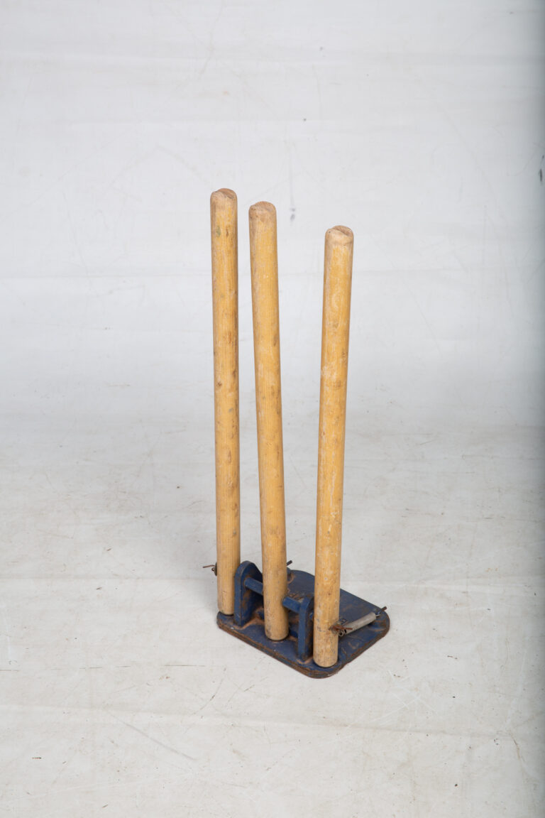 Blue Cricket Practice Stumps