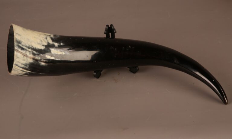 TD216 Large Animal Horn