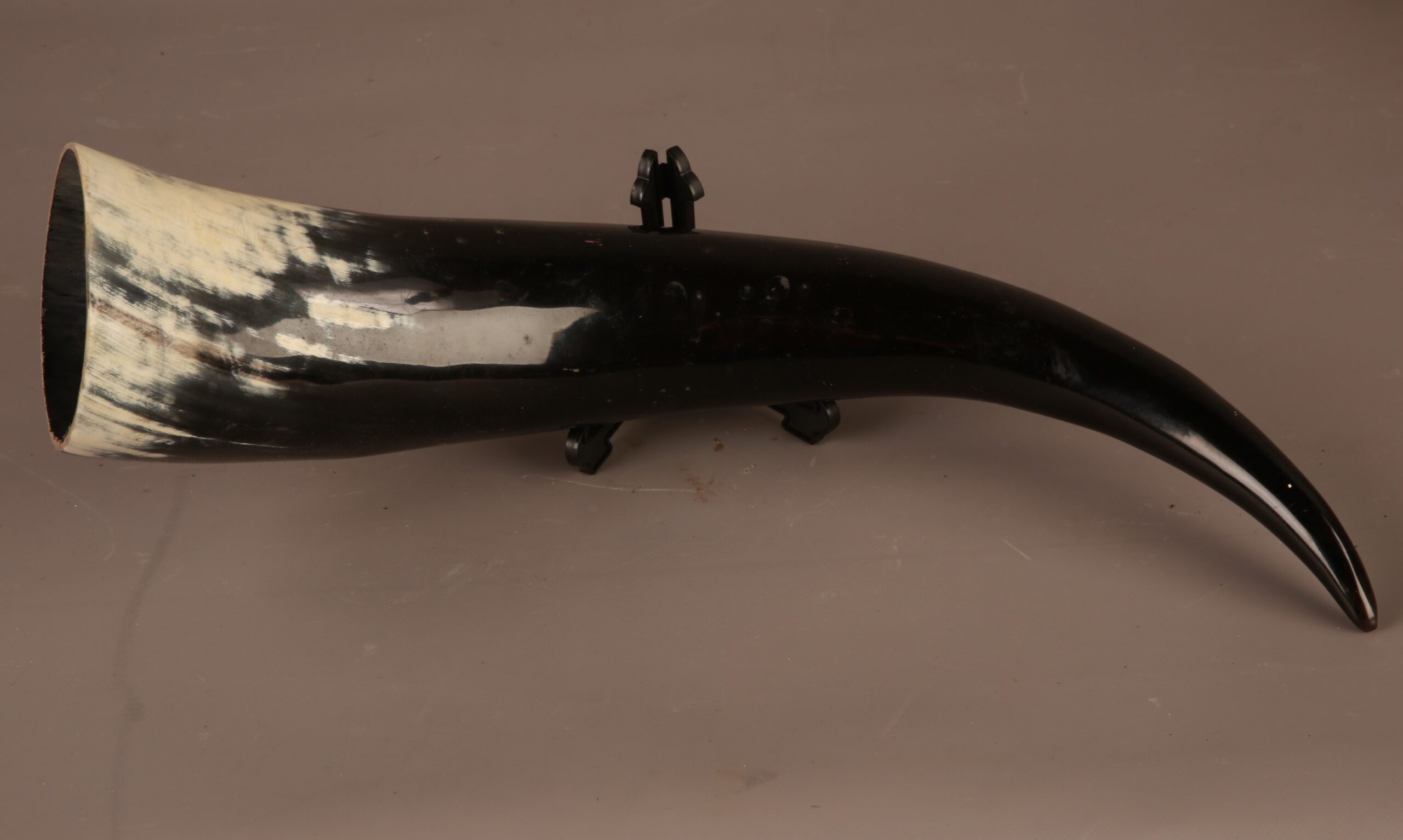 TD216 Large Animal Horn