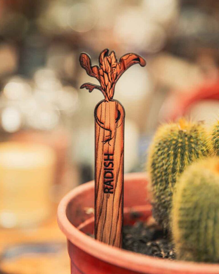 "Radish" Planter Tag