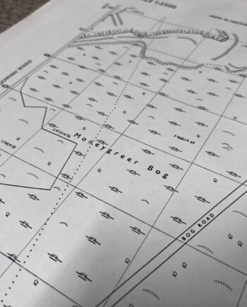 1973 ordnance survey map of ballygowan ward