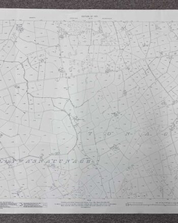 Vintage Ordnance Survey Map of Ballynahinch