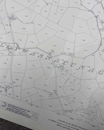 Vintage Ordnance Survey Map of Ballynahinch