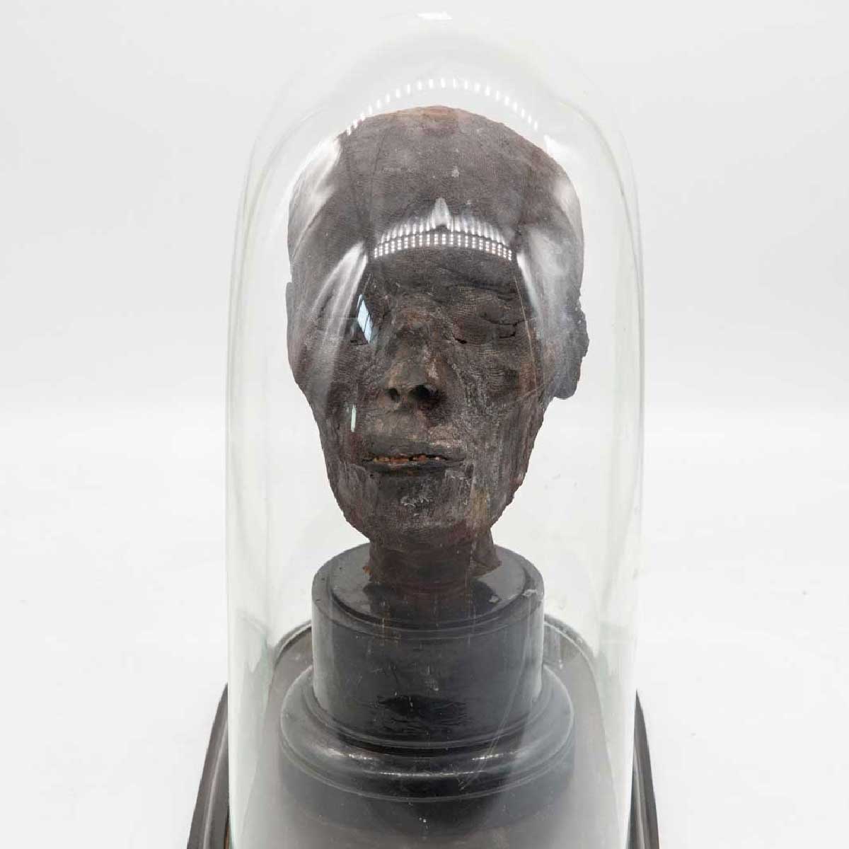 Ancient Egyptian Mummified Head on display at On The Square Emporium