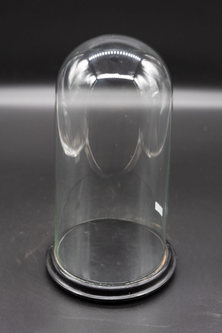 GC024 Glass Dome on Base