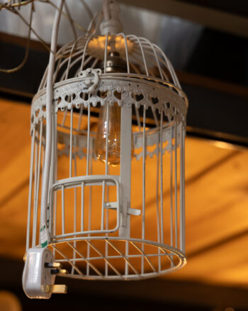 Birdcage Hanging Lamp
