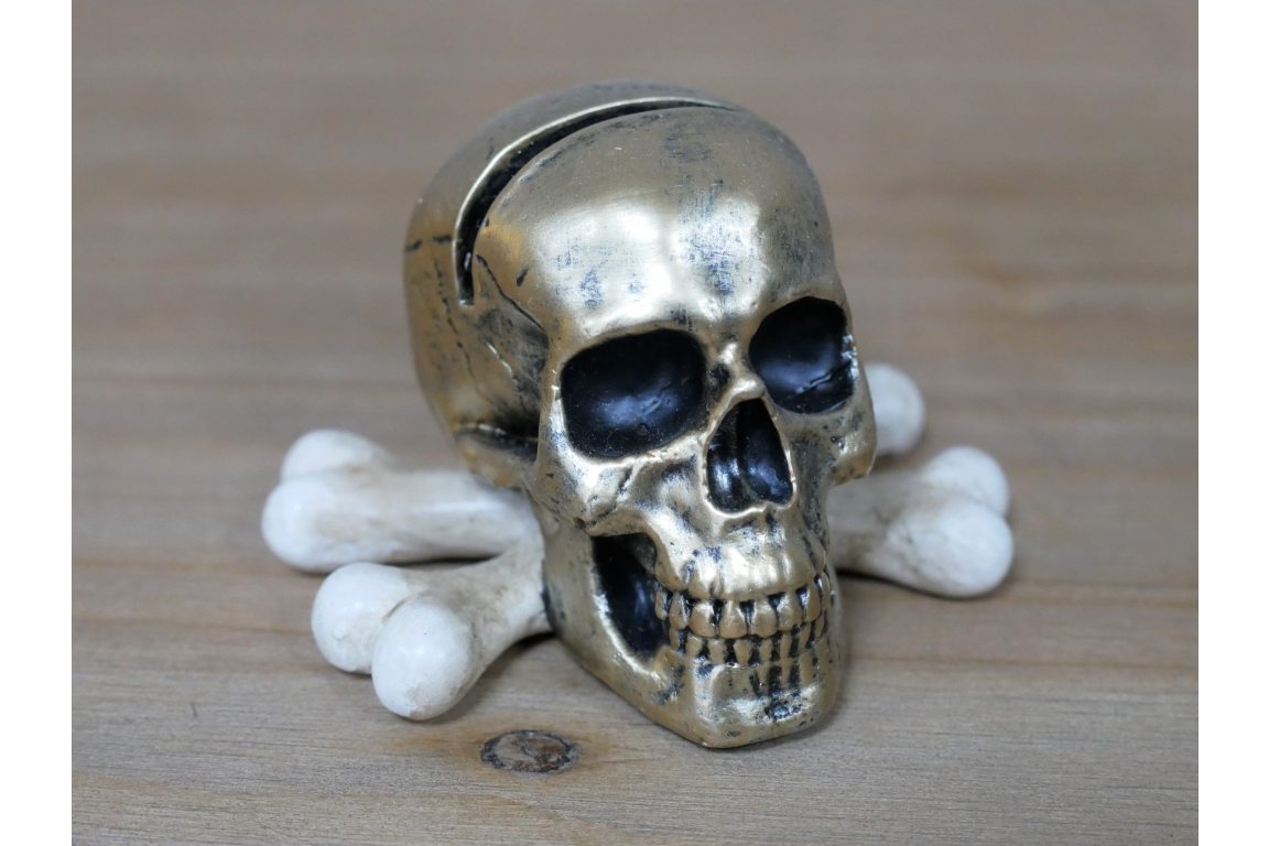 Skull Name Card Holder
