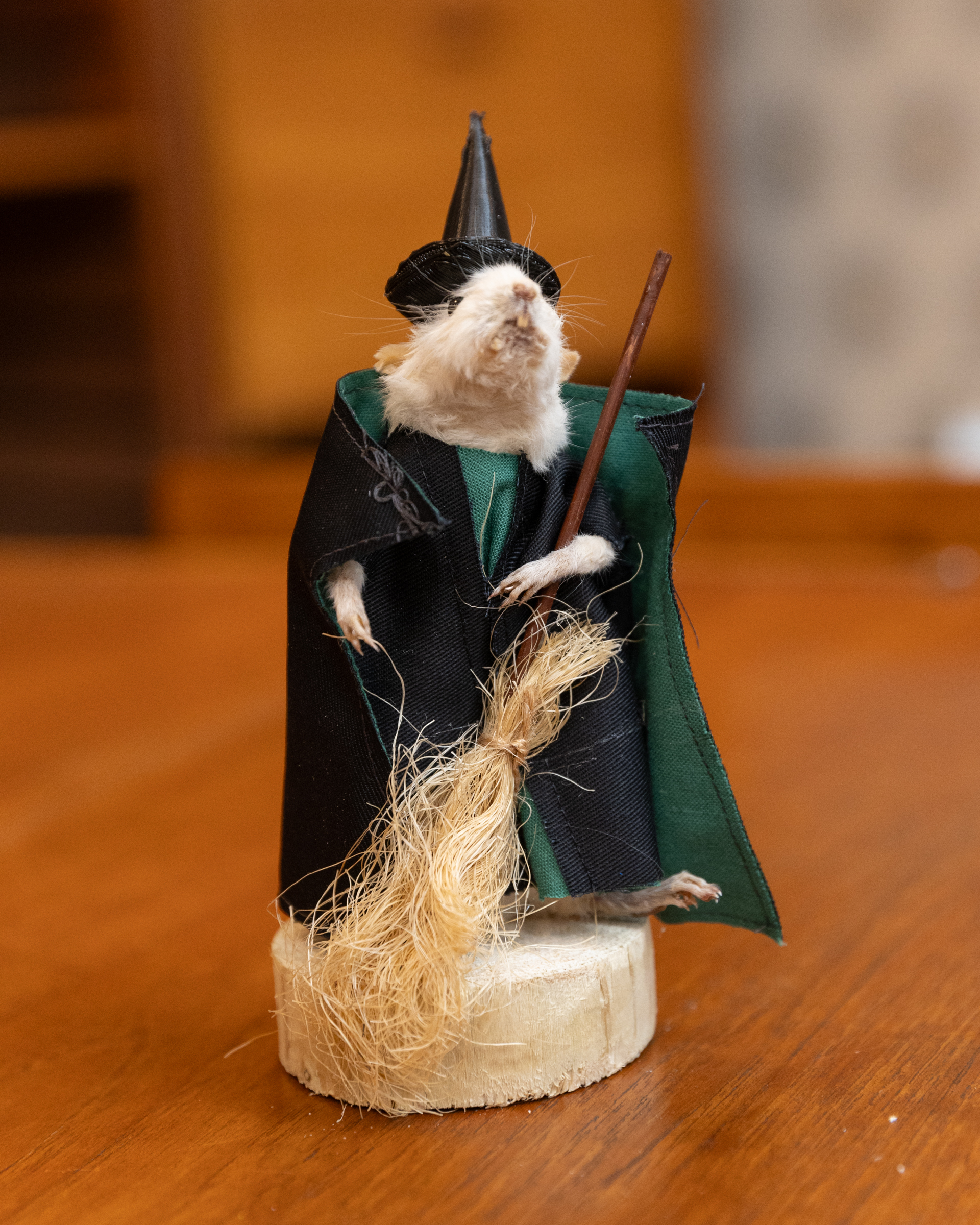 Taxidermy Witch Mouse