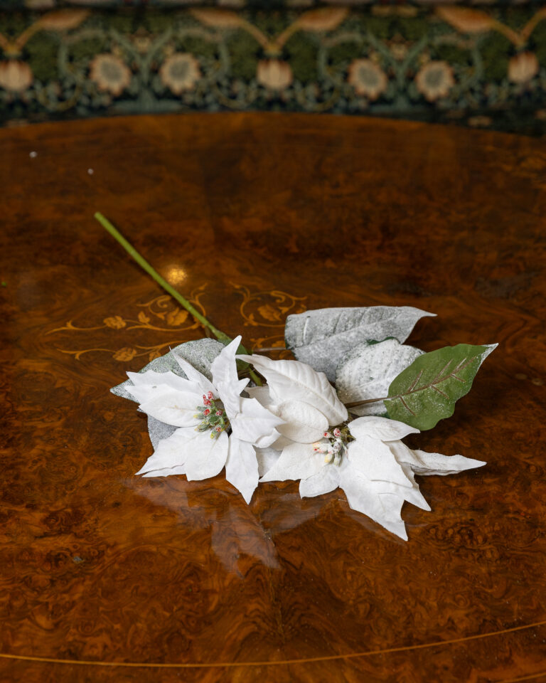 Silk Stem White Poinsettia Frosted red