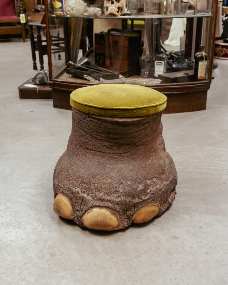 TD300 Taxidermy Elephant Foot Stool with Under-seat Storage