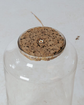 GC033 Extra Large Glass Lab Jar