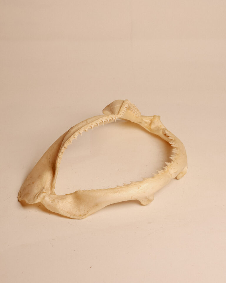 TD330 Shark Jaw