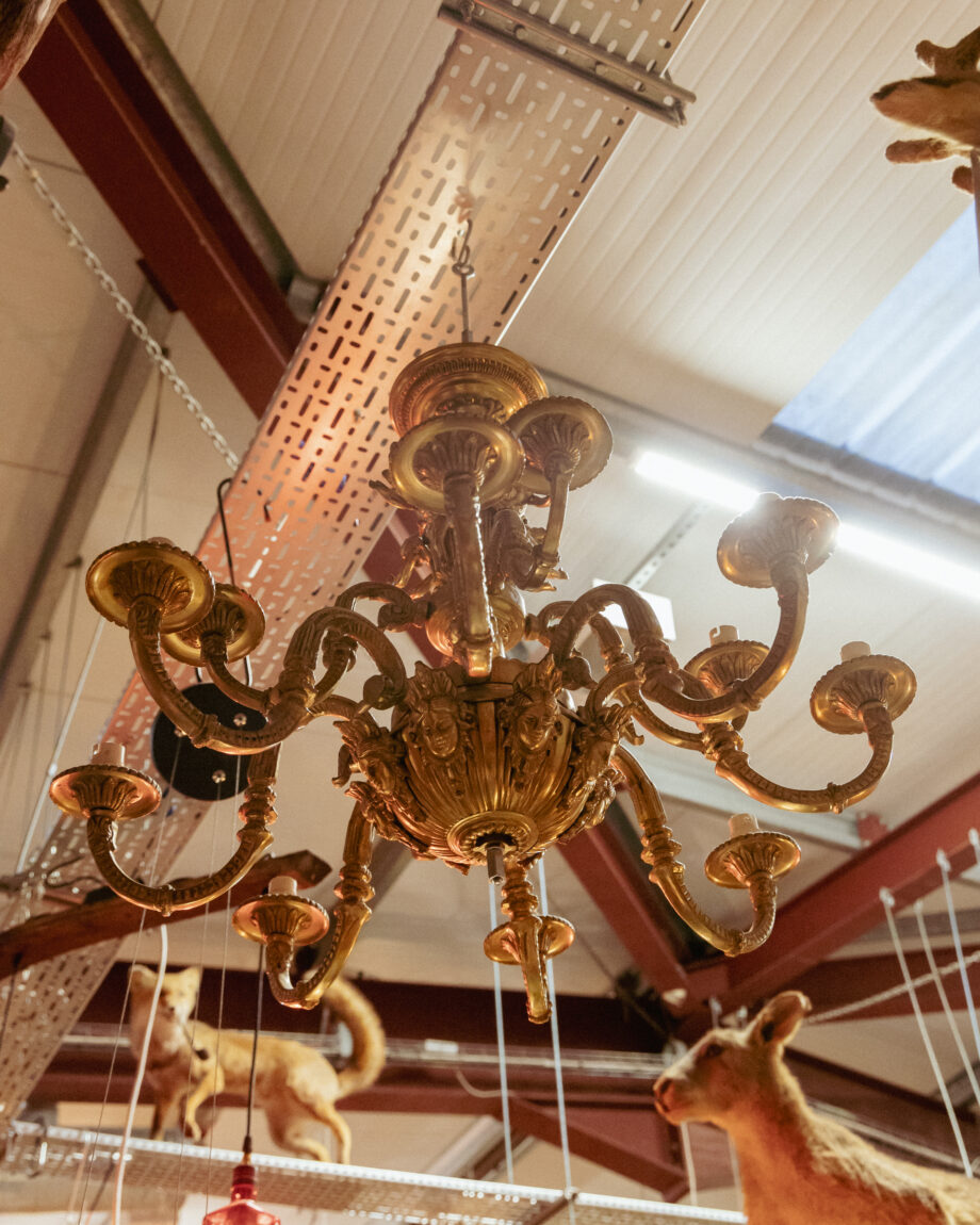 A brass Chandelier with cherub faces on the centre