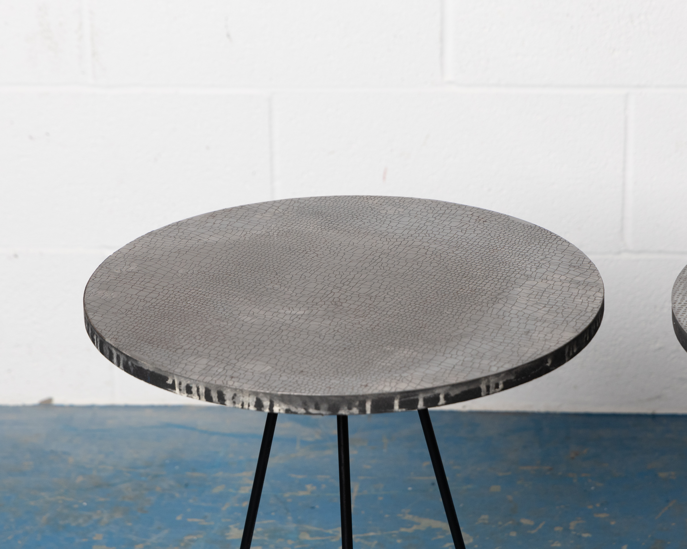 Silver Snakeskin Coffee Table