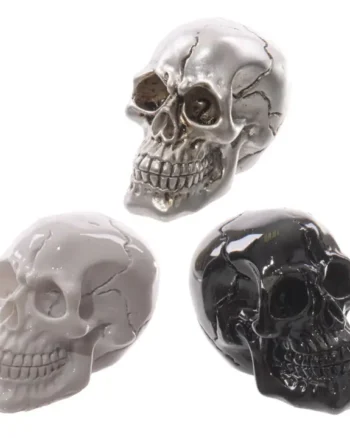 Gruesome Small Skull