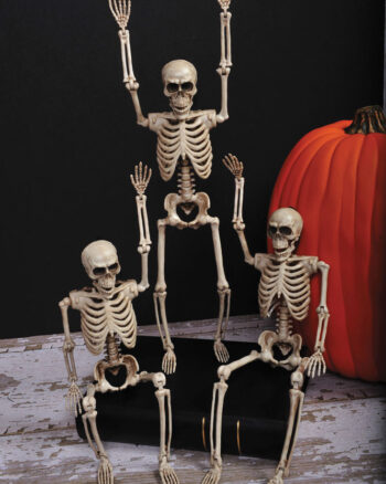Skeleton in Counter Display (35cm)