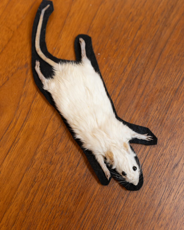 Taxidermy Mouse Mat
