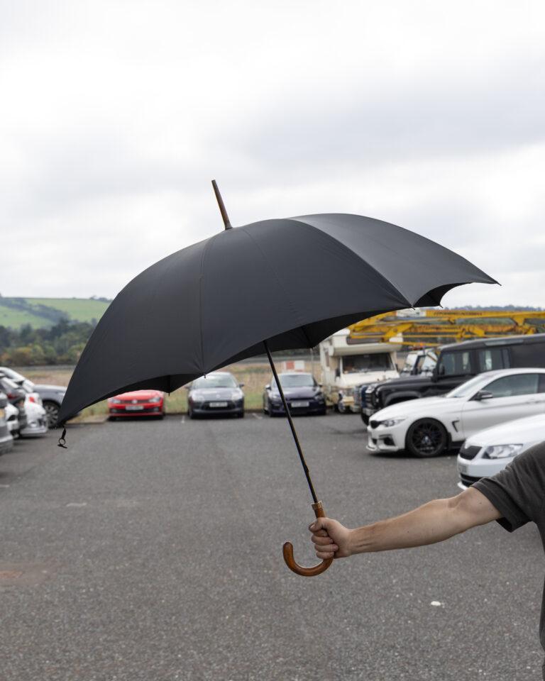 Gold Tipped Umbrella