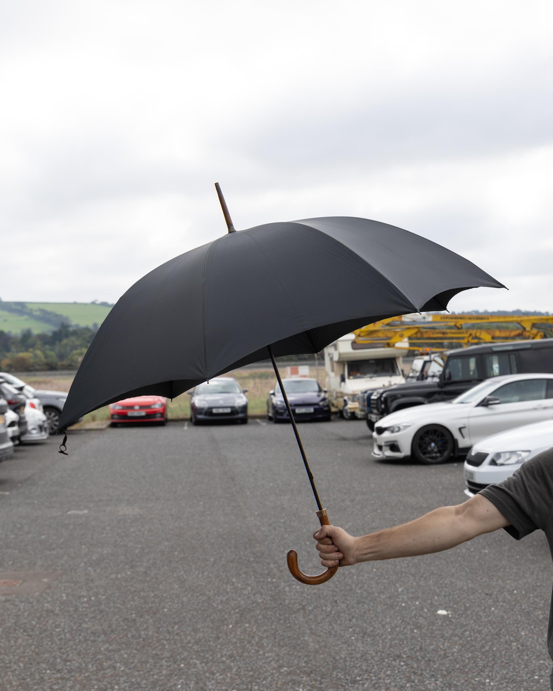 Gold Tipped Umbrella