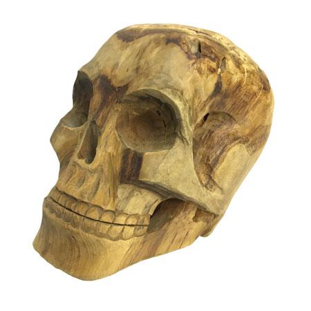 Naturale Root skull