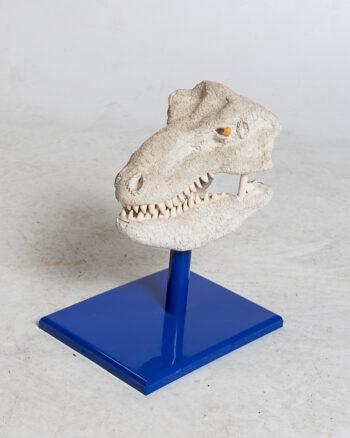 Dinosaur Skull Replica on Stand