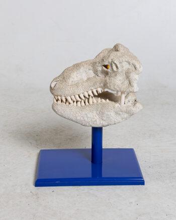 Dinosaur Skull Replica on Stand